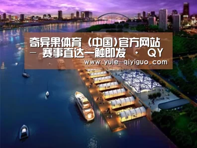 案例展示八