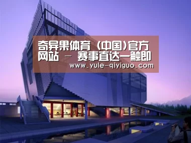 案例展示六