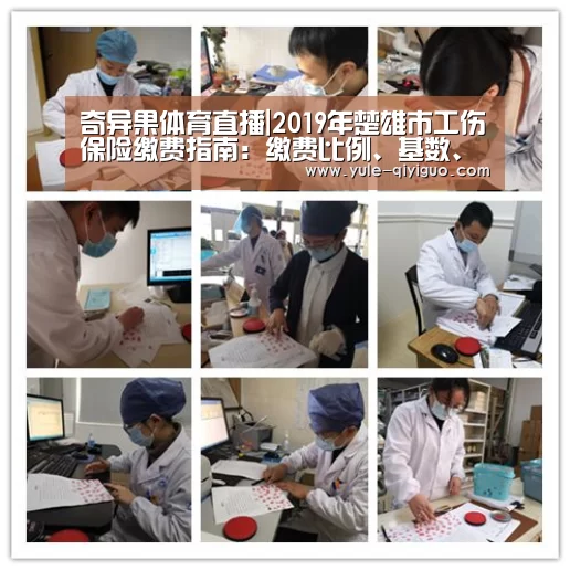 奇异果体育直播|2019年楚雄市工伤保险缴费指南:缴费比例、基数、多少钱(图1) 奇异果体育app